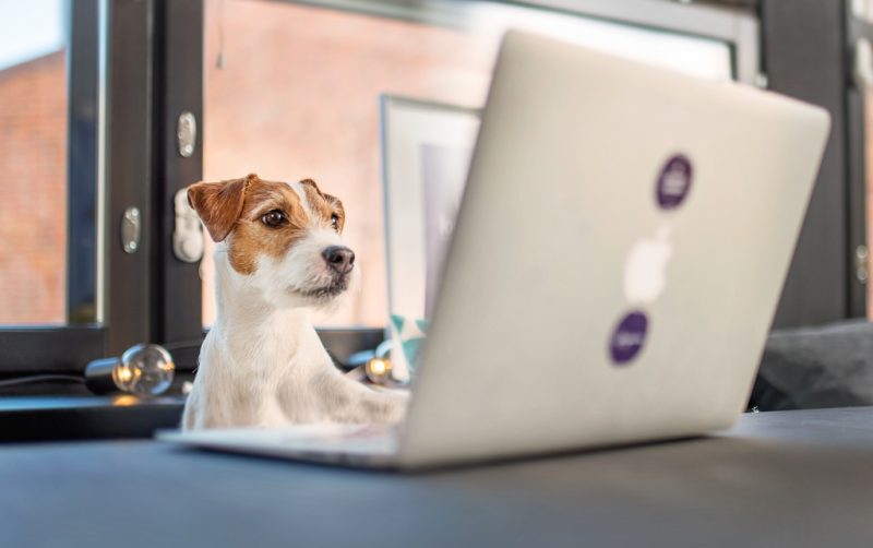 4 syytä miksi some-markkinointi ei toimi