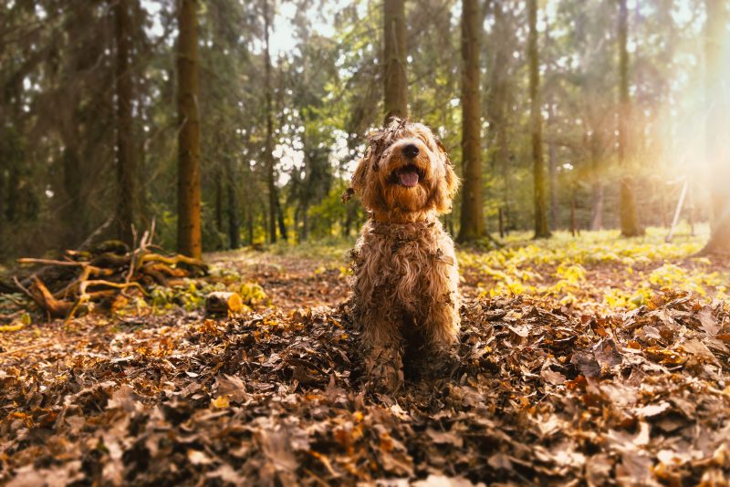Strategista markkinointia neljään eri maahan – vaivattomasti yhdeltä luukulta