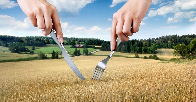 Suomalaisen ruoan päivä valtakunnalliseksi ilmiöksi